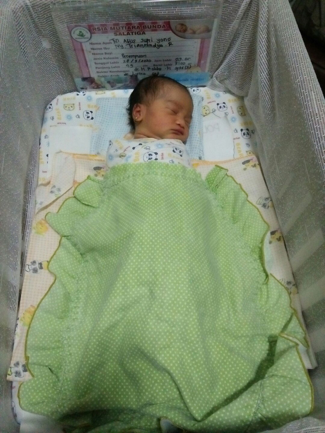 Momy Ghania profile icon