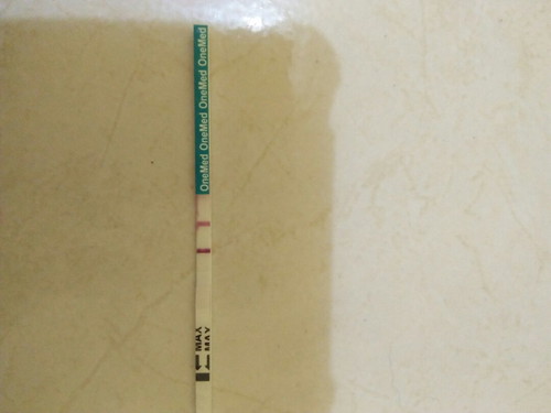 kehamilan pertama