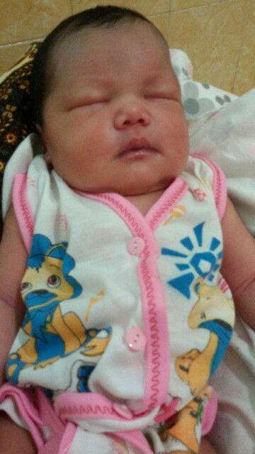 HPL 20 maret launching 6 maret