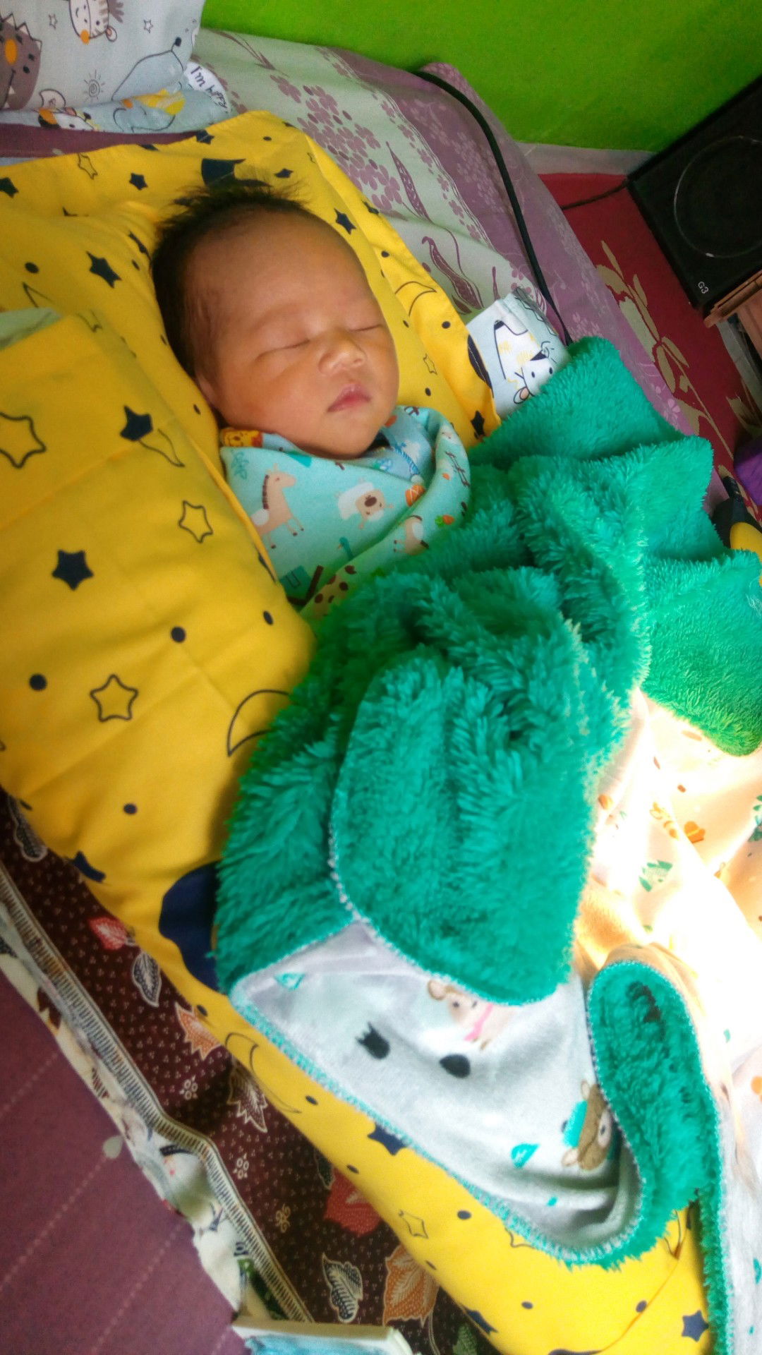 launching tepat hpl 6 desember 2019