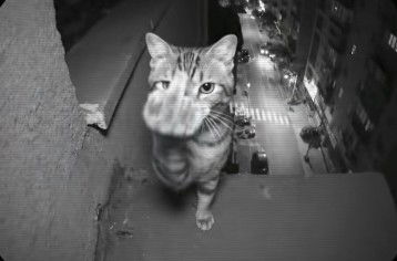 Nataliaa profile icon