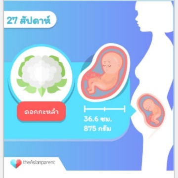 ตรงที่เป็นรูปดอกไม้กับผักผลไม้คืออะไรคะ
