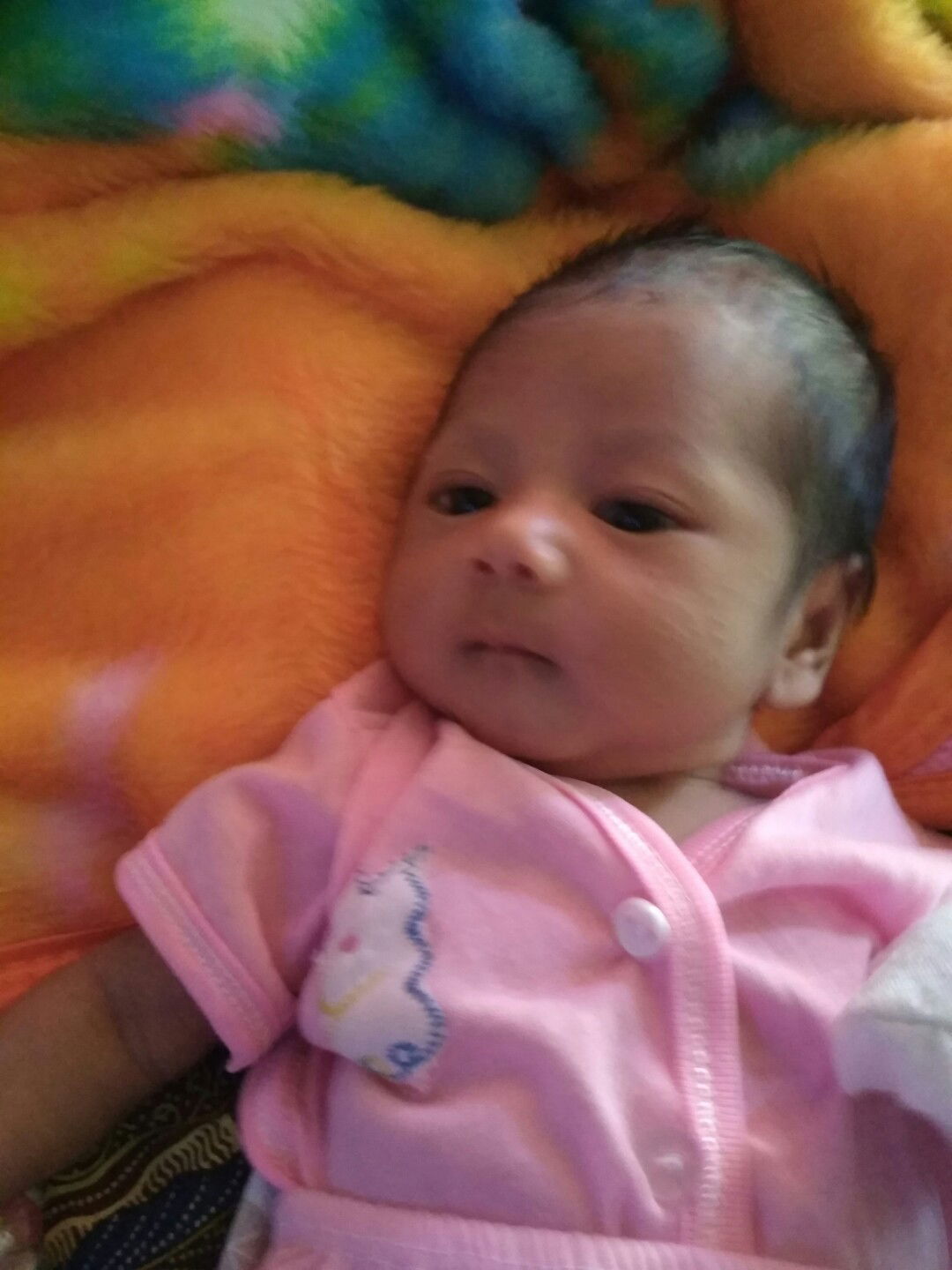 Lily Melani profile icon