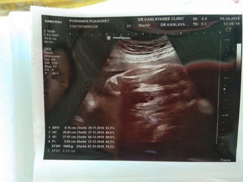 เจ้าอ้วนของแม่