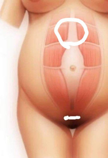 ตั้งครรภ์