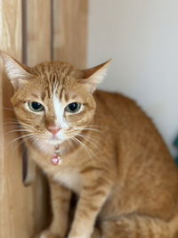 มิ้น น. profile icon