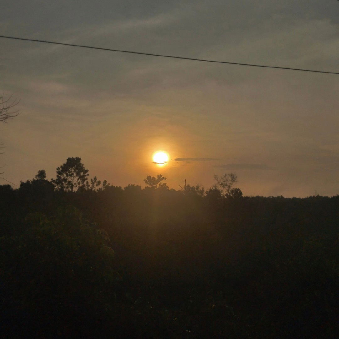 Tri Deviana profile icon