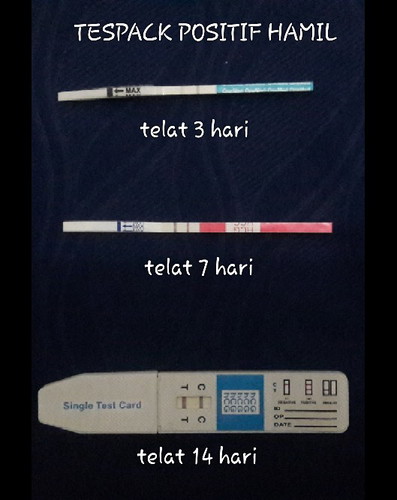 Buat seluruh pengguna TAP yang lama atau yang baru