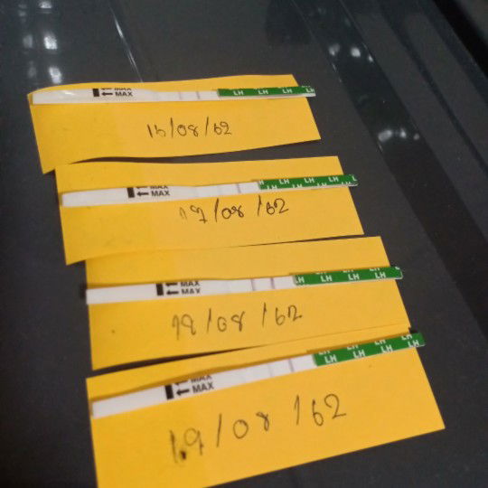 ไข่ตกแล้วค่ะ..