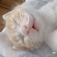 ۦ jasmin profile icon