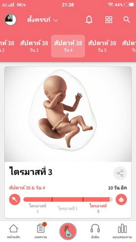 กำหนดคลอด