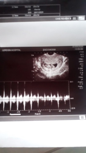 ซาวด์คลีนิกไม่เจอ