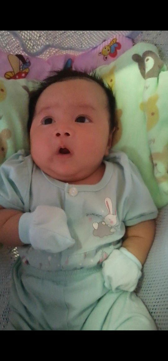 Lucky Clover profile icon