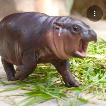 Putt Tapoo!!! profile icon