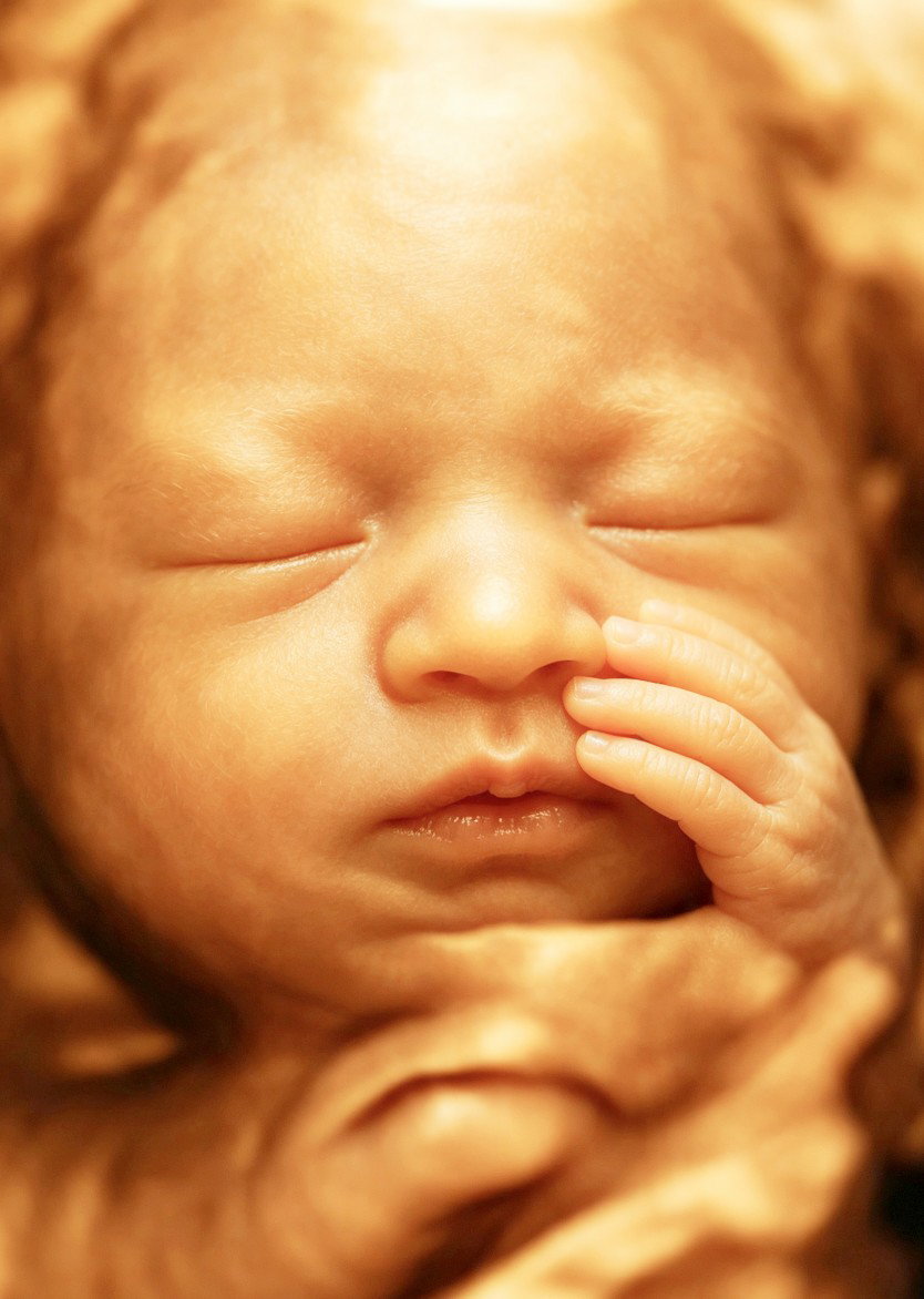 Nala profile icon
