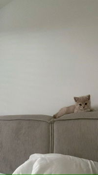 nazyla mansor profile icon