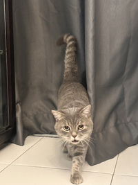 Itsmelizz profile icon