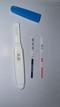 sarocha6395 profile icon