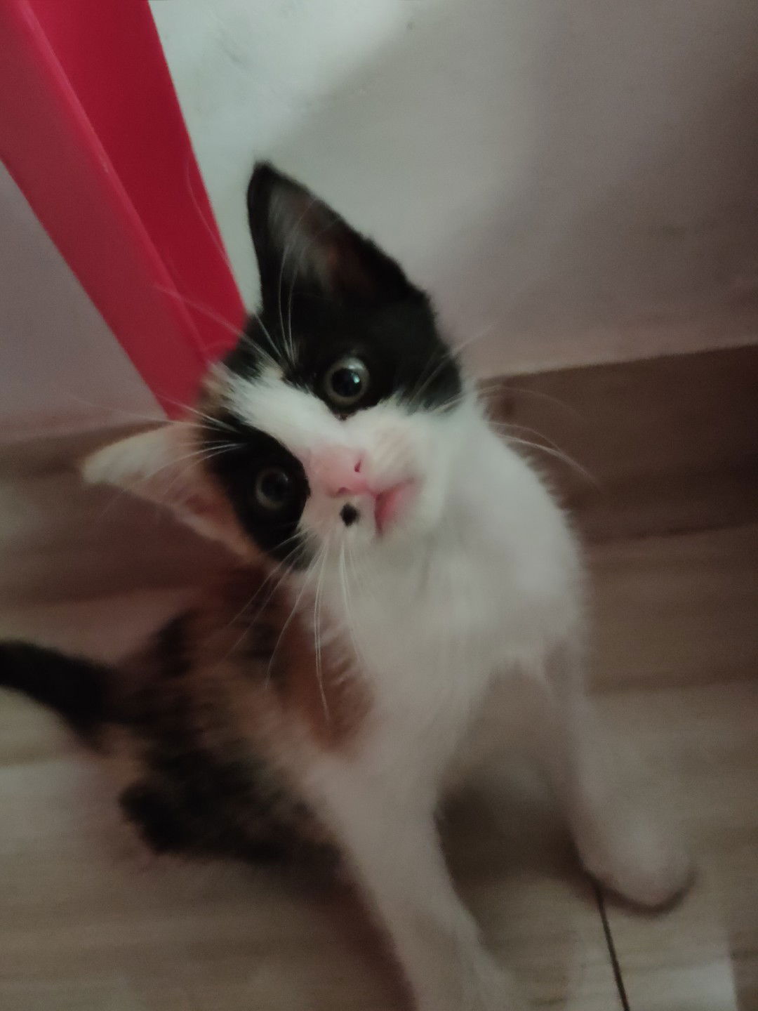 Riska Rahmi profile icon