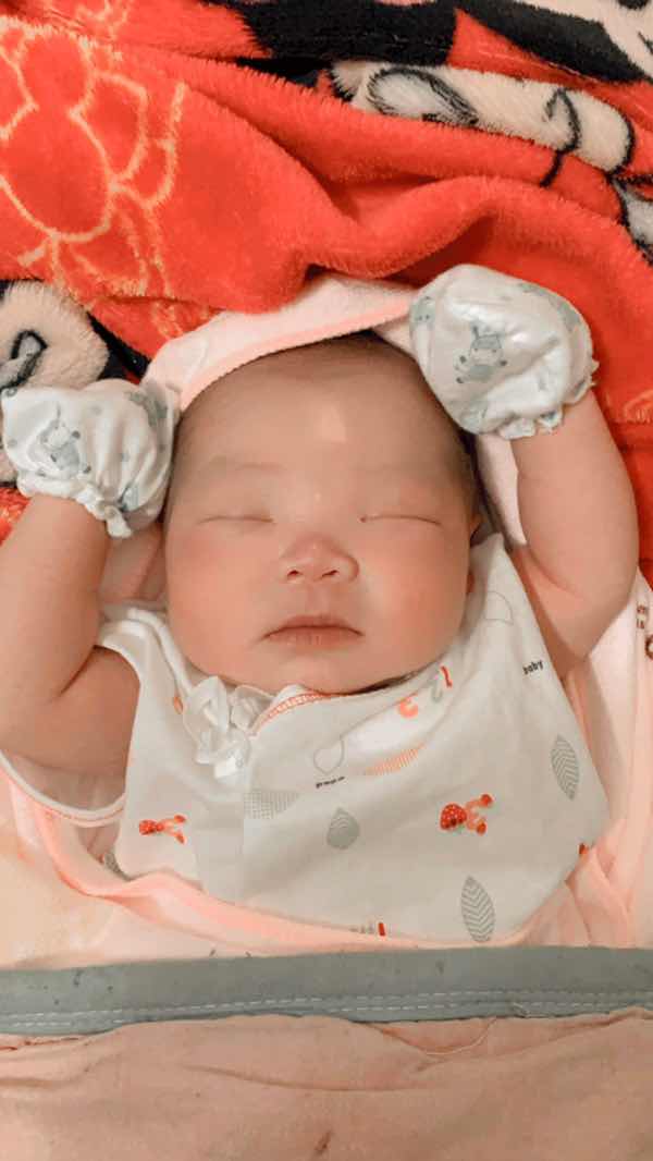 เพลล์ profile icon