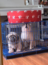 bmalpe_ profile icon