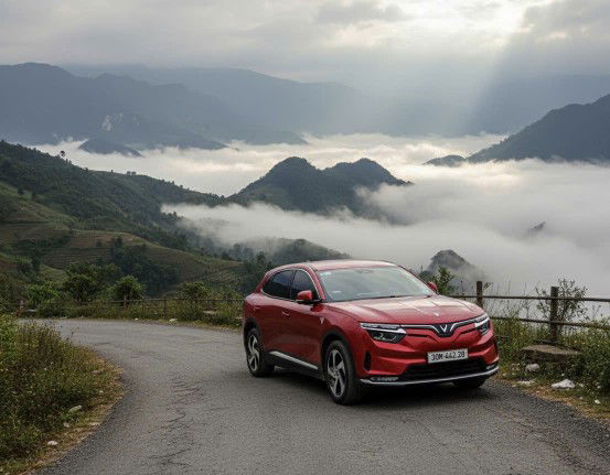 Đức Tâm Ngô profile icon