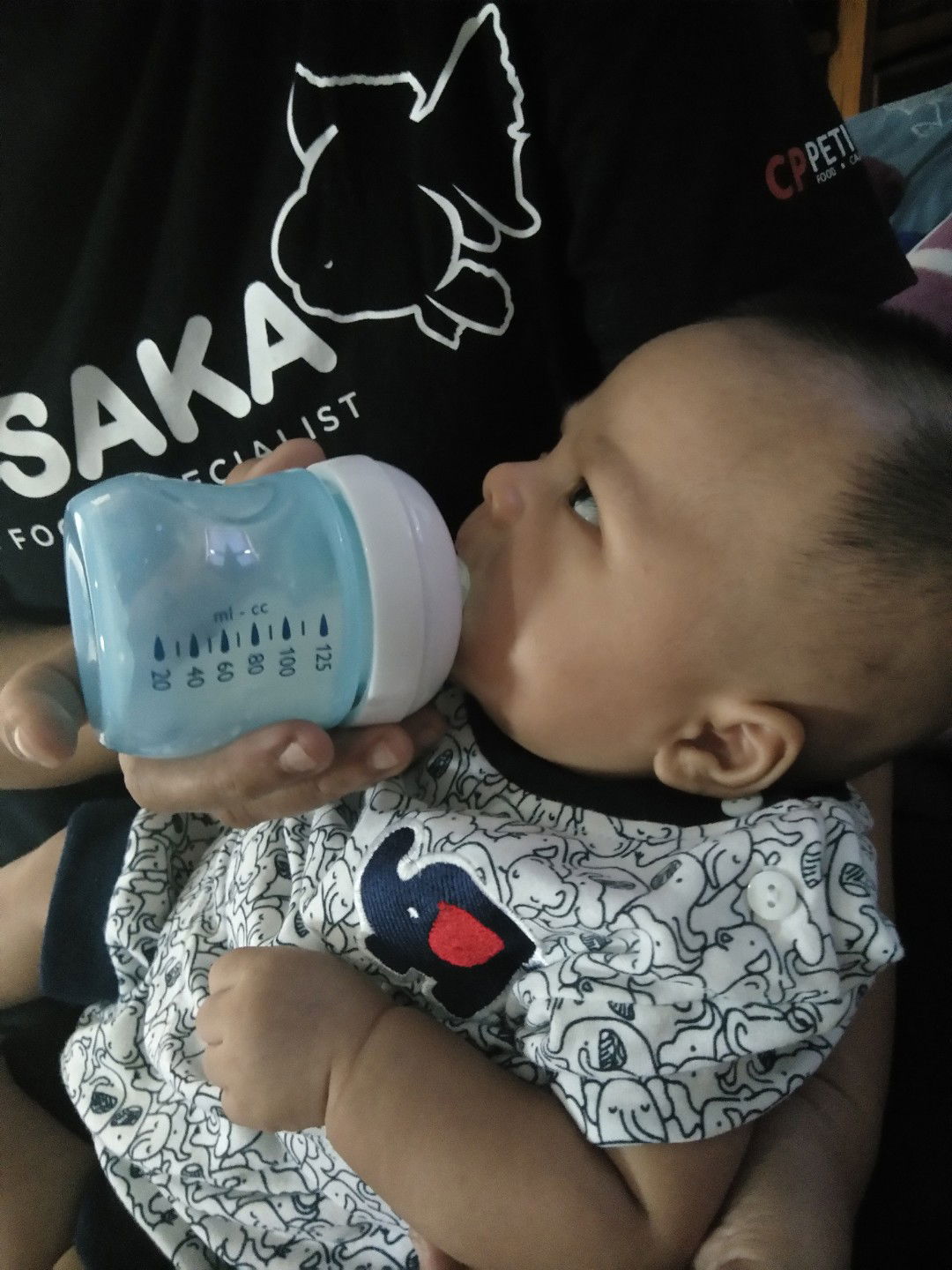 belajar dot untuk anak