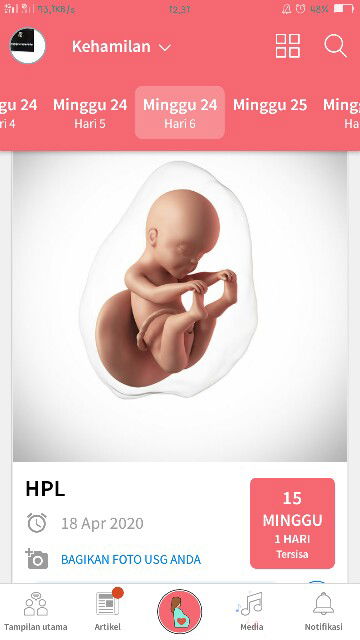 24w6d