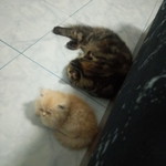 อัยอ้วน profile icon