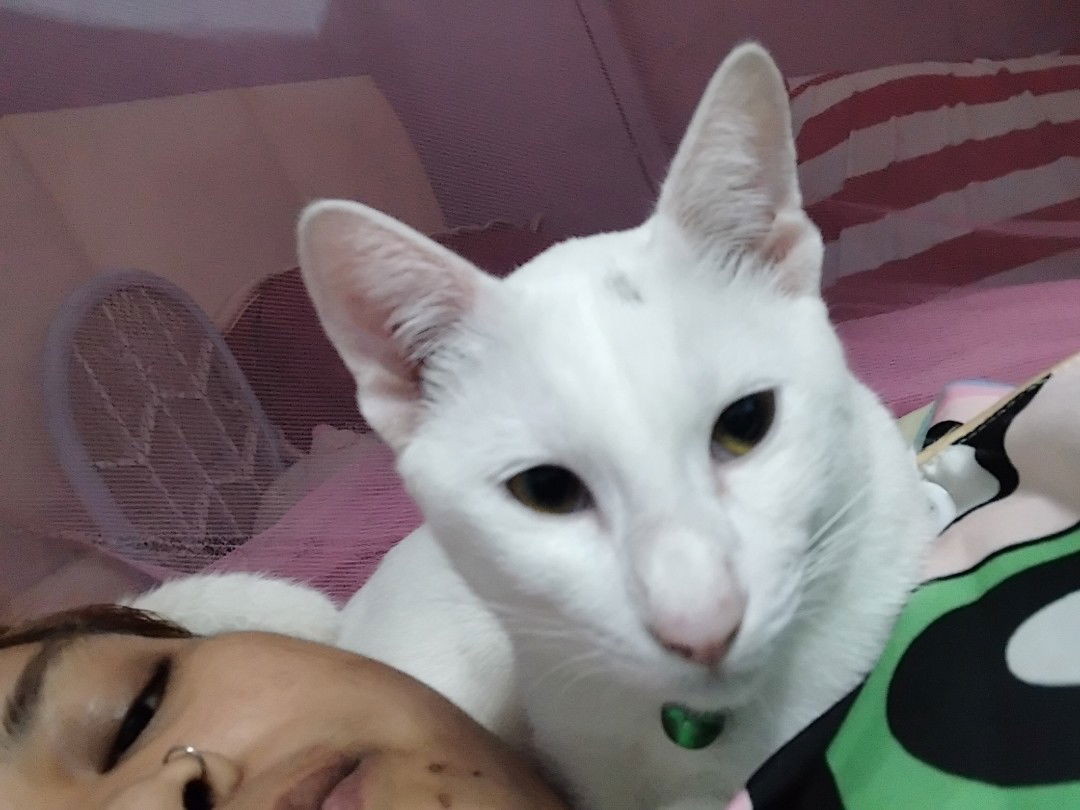 นาง' สีดาใง profile icon