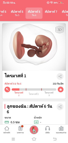ตั้งครรภ์