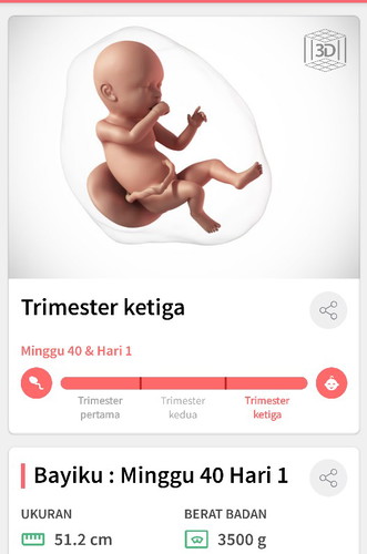lewat hpl ?