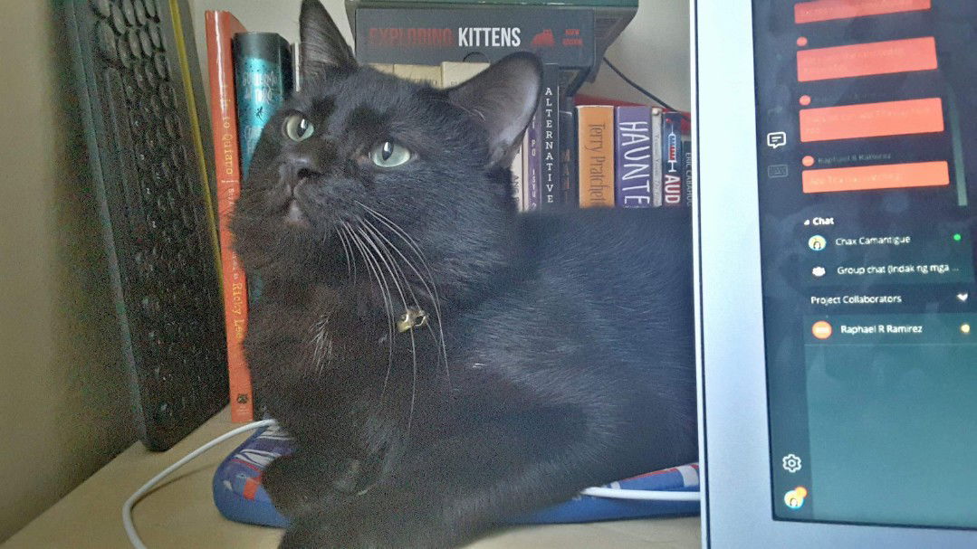 Fiona Carreon profile icon