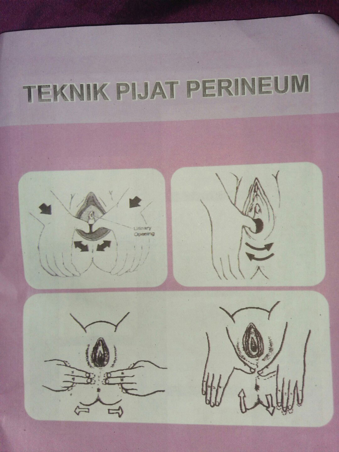 pijat perineum