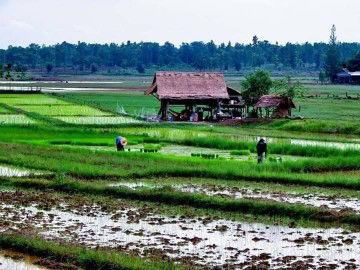 สุดารัตน์ profile icon