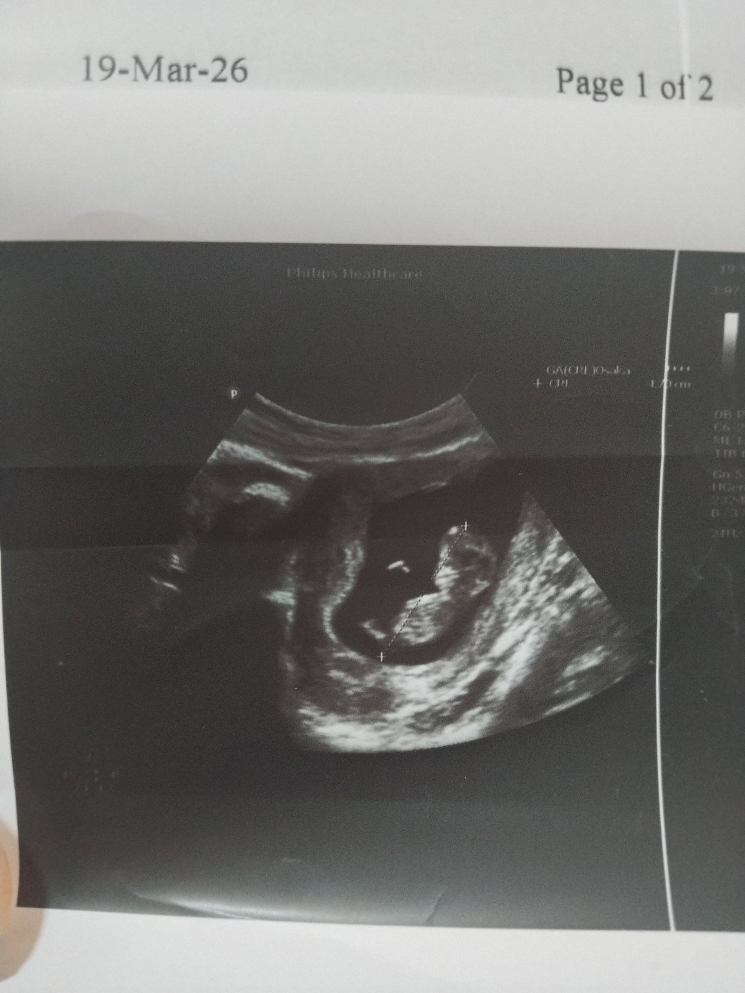 พุธธิดา แสนทวีสุข profile icon