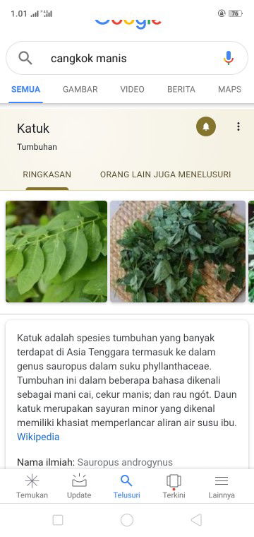 sayuran penambah ASI
