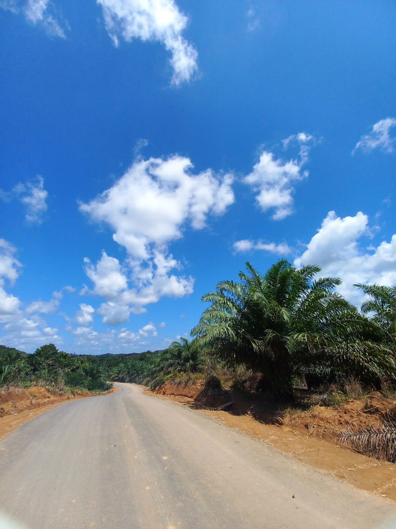 yohana.y profile icon