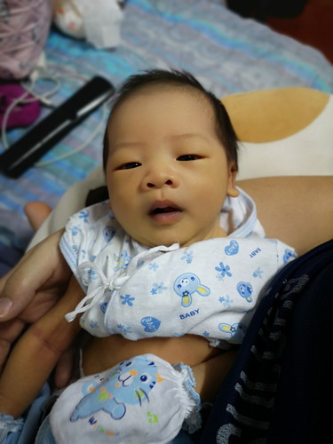 ลูกตัวเหลือง