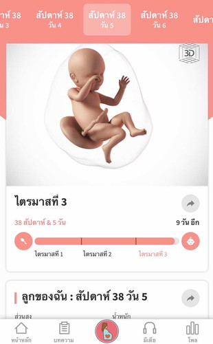 ทีมเมษาแตกกันหมดหรือยังคะ