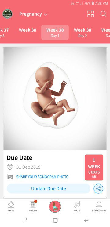 shy tipe profile icon