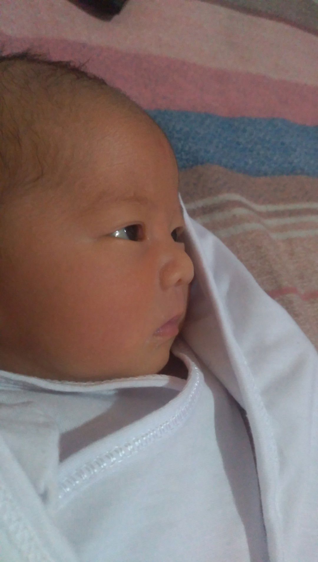 Fritzie Calimon profile icon