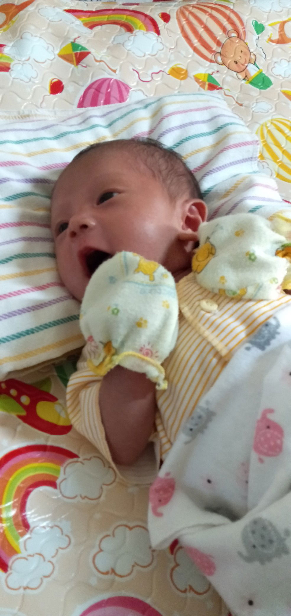 lavanya profile icon