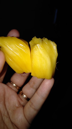 nangka
