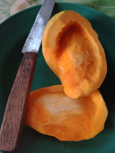 seputar makanan bumil
