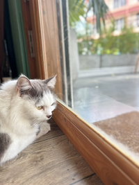 พ่อตัวเล็ก profile icon