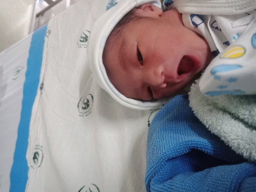 คลอดแล้ววว