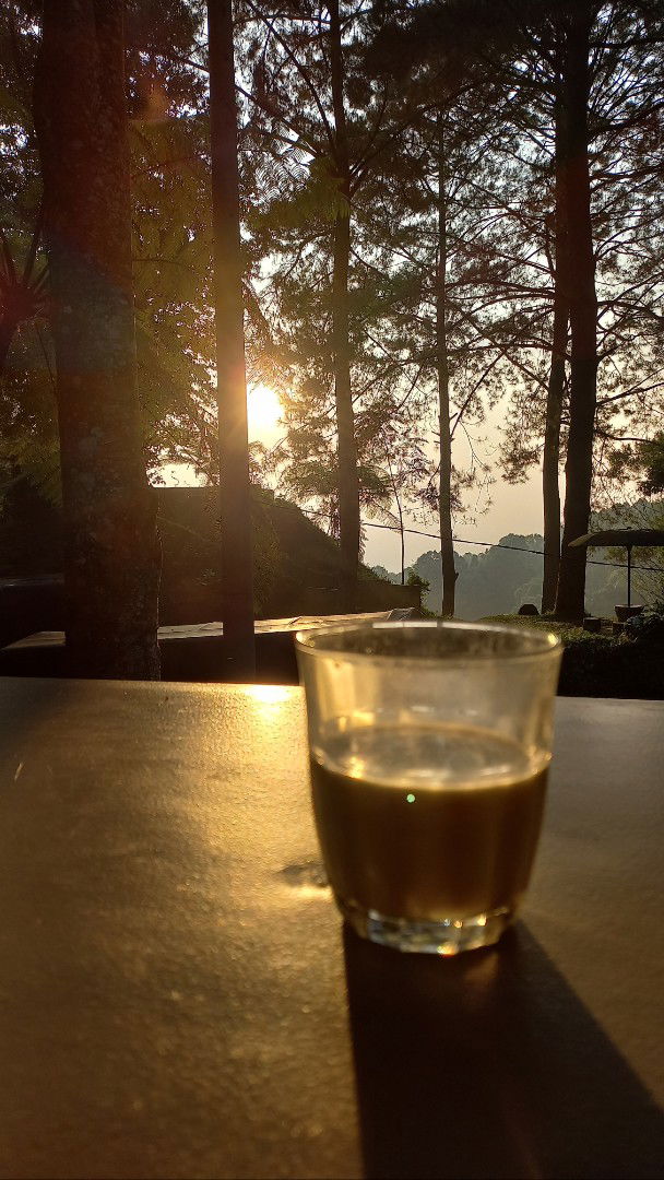 biscuit profile icon