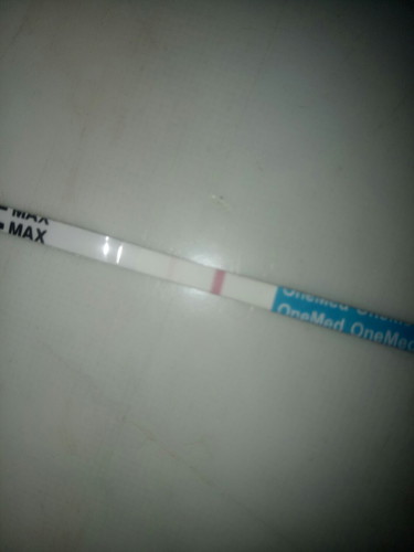 Test Kehamilan