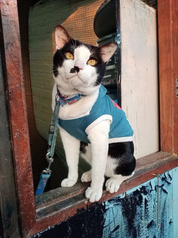 ชลิตา โหรวิทย์ profile icon